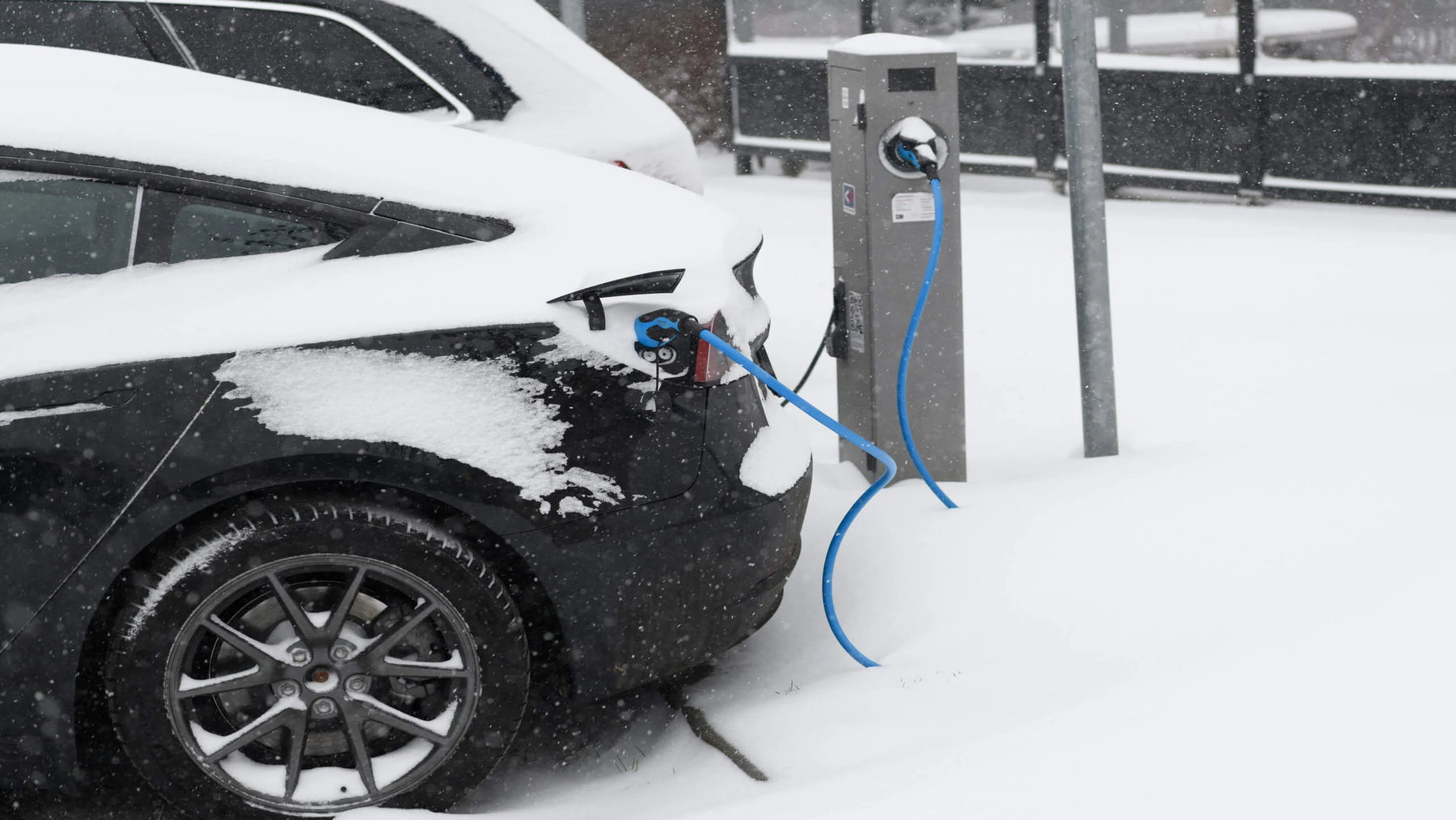 CAR BATTERY DEAD TROUBLE SHOOTING GUIDE